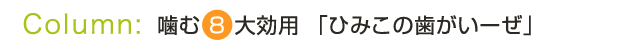 コラム